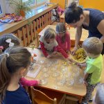 phoca_thumb_m_z- ovocn salt 3 Fotogalerie